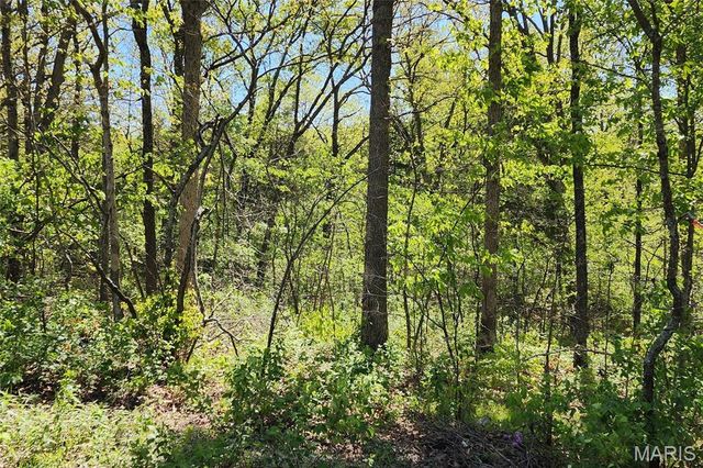 3906 Red Bud Drive, Catawissa, MO 63015