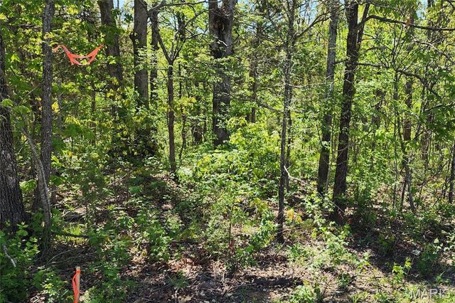 3906 Red Bud Drive, Catawissa, MO 63015