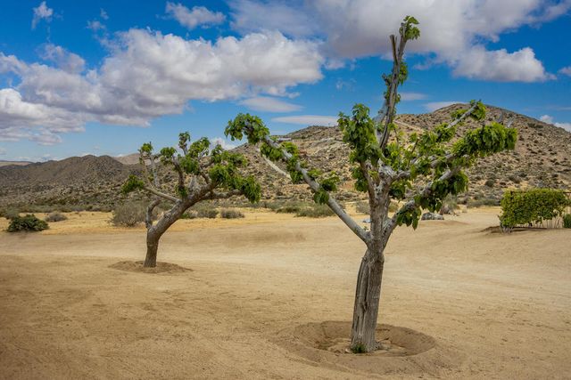 6910 Wamego Trail, Yucca Valley, CA 92284