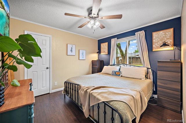 2509 Chimayo Drive, Colorado Springs, CO 80911