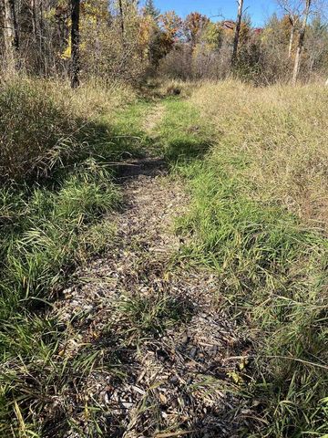 COUNTY ROAD K, Waupaca, WI 54981
