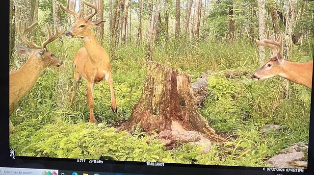 COUNTY ROAD K, Waupaca, WI 54981