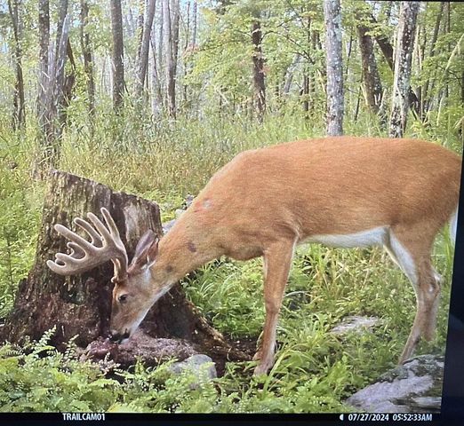 COUNTY ROAD K, Waupaca, WI 54981