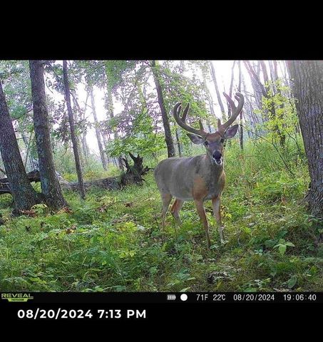 COUNTY ROAD K, Waupaca, WI 54981