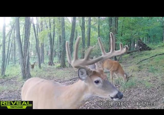 COUNTY ROAD K, Waupaca, WI 54981