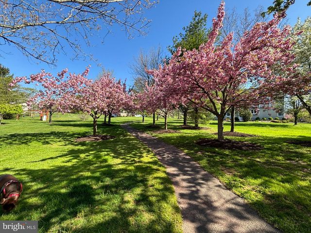 10 SPYGLASS RD, Skillman, NJ 08558