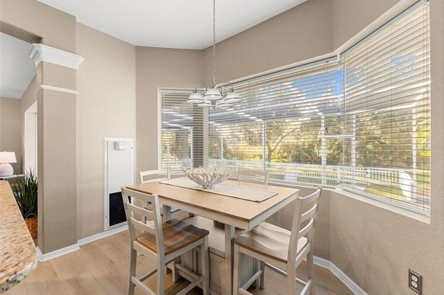 12305 TWIN BRANCH ACRES ROAD, Tampa, FL 33626