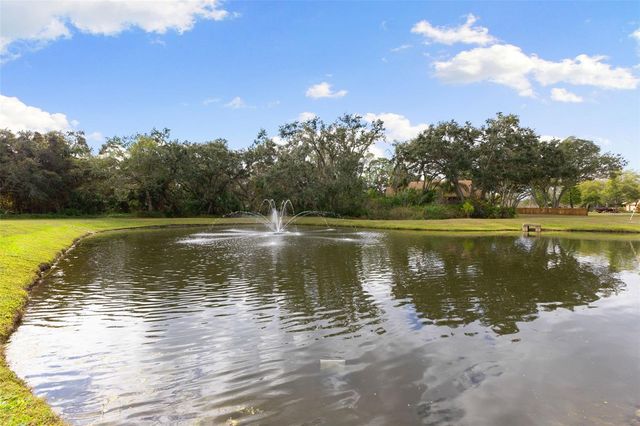 12305 TWIN BRANCH ACRES ROAD, Tampa, FL 33626