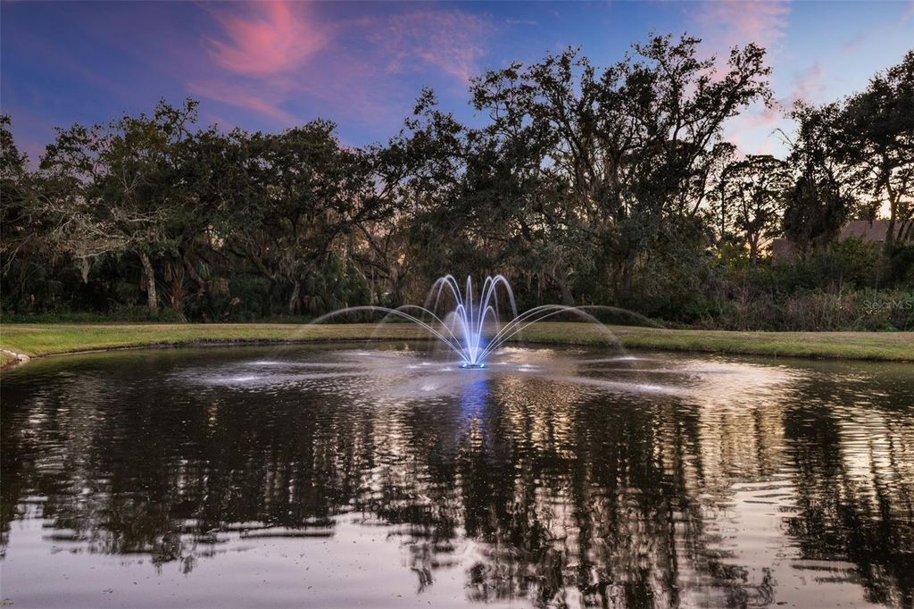 Image 30 of property listing at 12305 TWIN BRANCH ACRES ROAD, Tampa, FL 33626