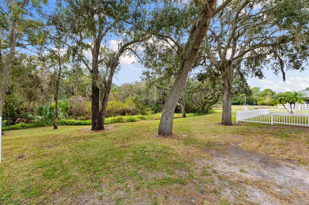 Image 54 of property listing at 12305 TWIN BRANCH ACRES ROAD, Tampa, FL 33626