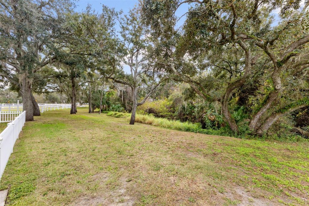 Image 55 of property listing at 12305 TWIN BRANCH ACRES ROAD, Tampa, FL 33626