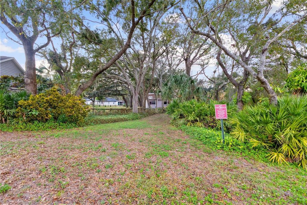 Image 57 of property listing at 12305 TWIN BRANCH ACRES ROAD, Tampa, FL 33626