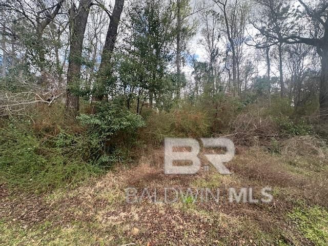 0 Jessie Road, Spanish Fort, AL 36527