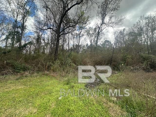 0 Jessie Road, Spanish Fort, AL 36527