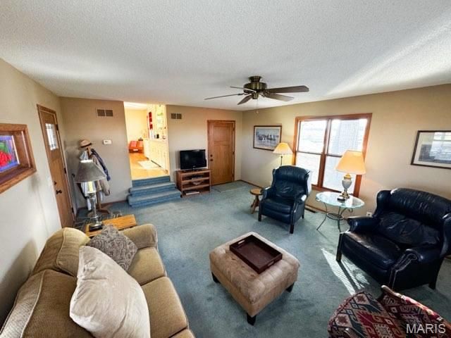 13616 State Hwy F, Glenwood, MO 63541