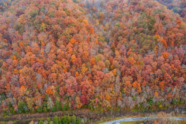 1650 Indian Creek Road, Thorn Hill, TN 37881