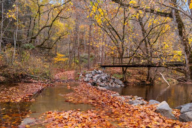 1650 Indian Creek Road, Thorn Hill, TN 37881