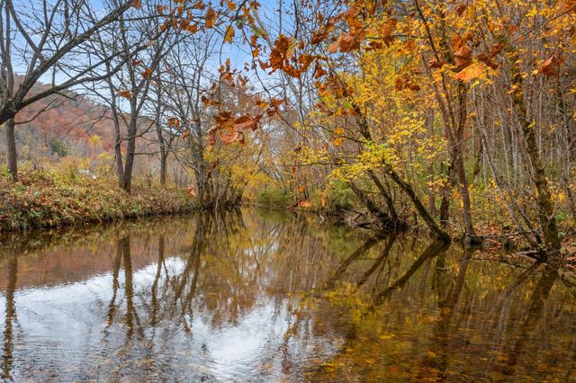 1650 Indian Creek Road, Thorn Hill, TN 37881