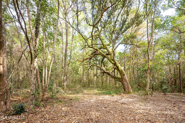 132 Pine Drive, Ocean Springs, MS 39564