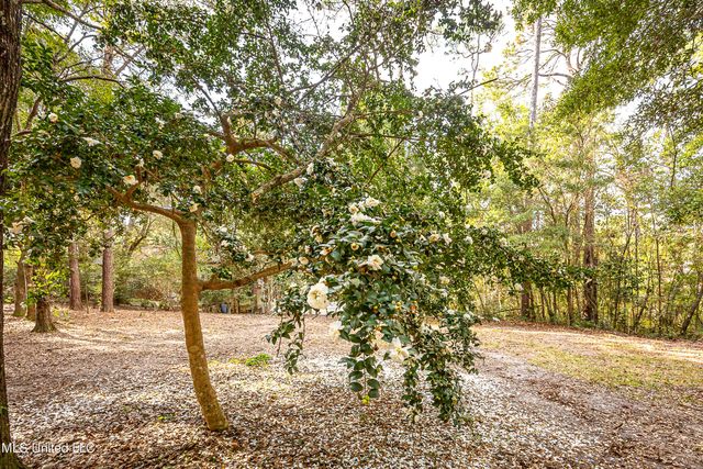 132 Pine Drive, Ocean Springs, MS 39564