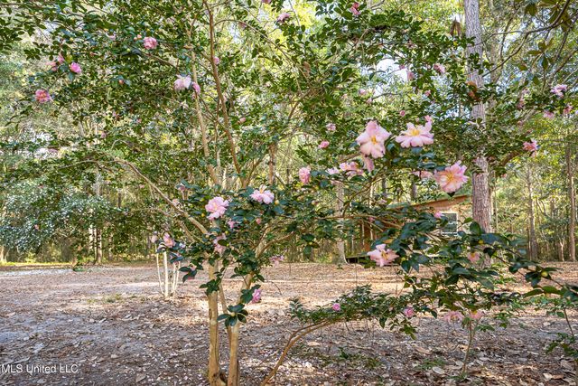 132 Pine Drive, Ocean Springs, MS 39564