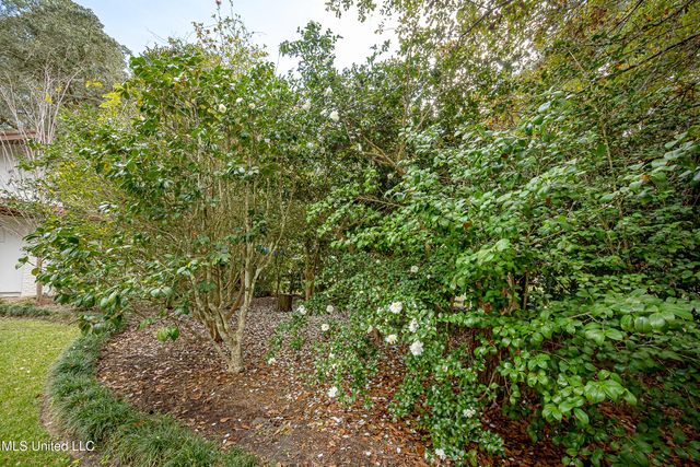 132 Pine Drive, Ocean Springs, MS 39564