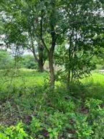211 Sheridan Road, Fair Grove, MO 65648