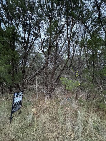 1013 Comanche Cove Drive, Granbury, TX 76048