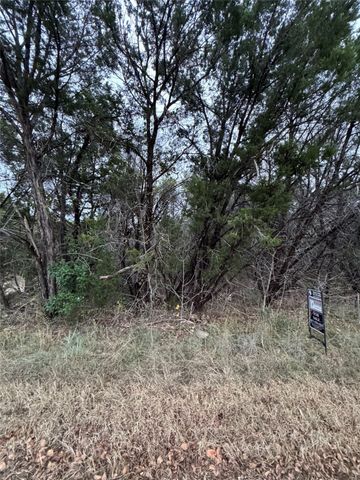 1013 Comanche Cove Drive, Granbury, TX 76048