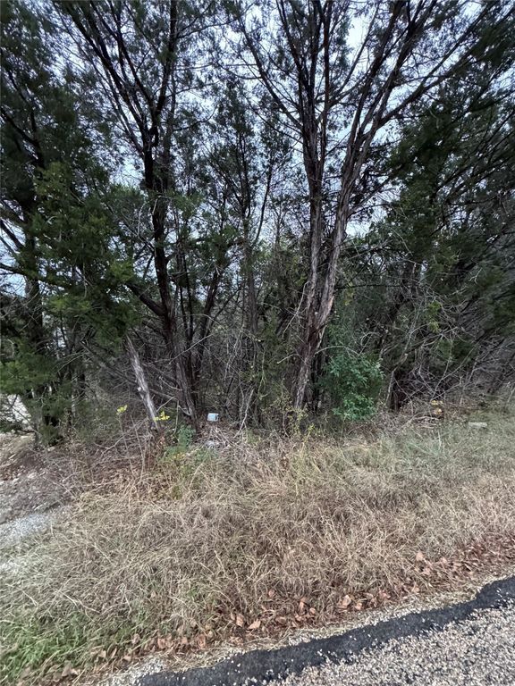 1013 Comanche Cove Drive, Granbury, TX 76048