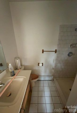 388 Island Creek Road, Lake Lure, NC 28746