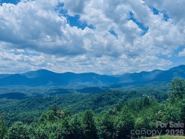 218 Rock Ledge Drive 218, Lake Lure, NC 28746
