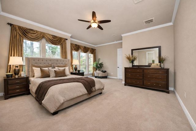 6 Bridgewood Cove Court, The Woodlands, TX 77381