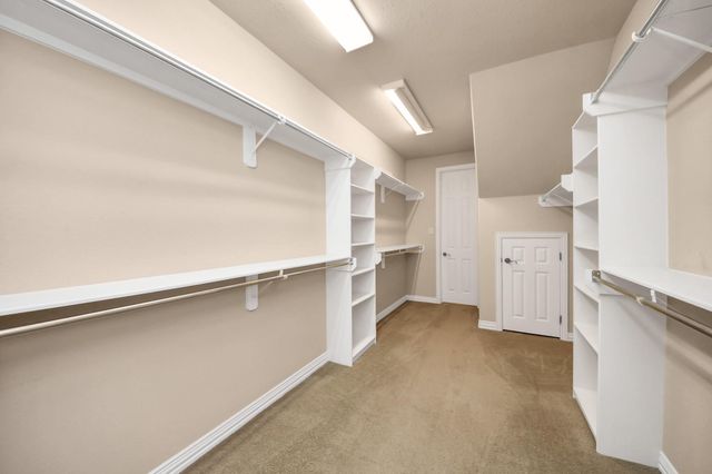 6 Bridgewood Cove Court, The Woodlands, TX 77381