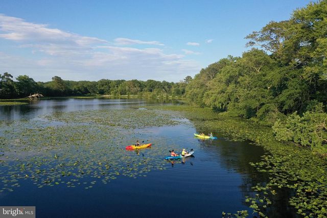 24049 BUNTING CIR, Harbeson, DE 19951