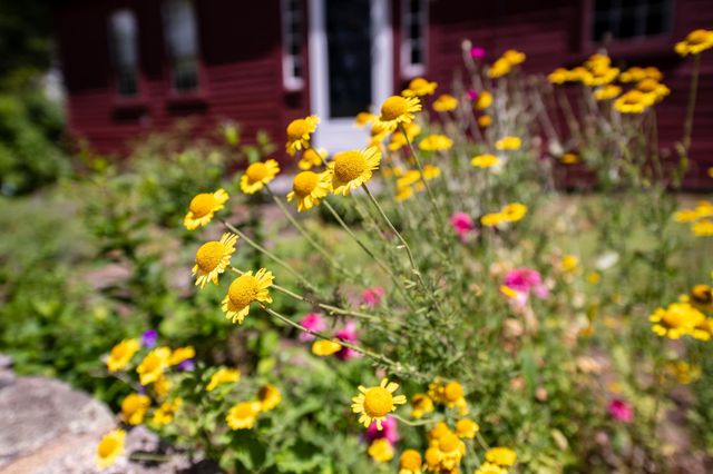 775 Winona Road, Center Harbor, NH 03226