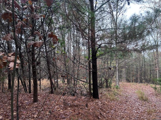 1956 Pineywoods Road, Lincolnton, GA 30817