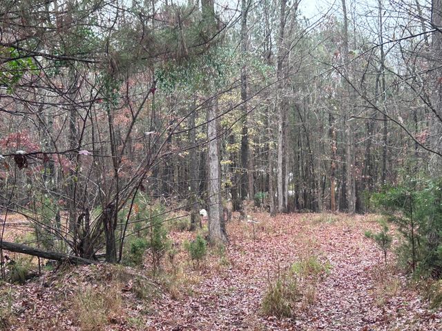 1956 Pineywoods Road, Lincolnton, GA 30817