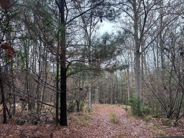 1956 Pineywoods Road, Lincolnton, GA 30817