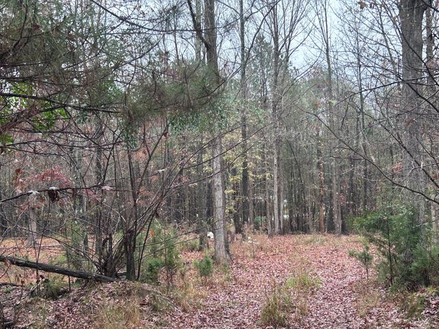 1956 Pineywoods Road, Lincolnton, GA 30817