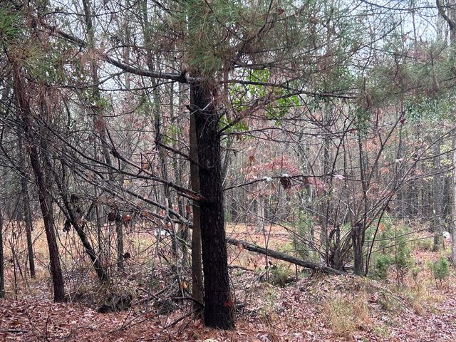 1956 Pineywoods Road, Lincolnton, GA 30817