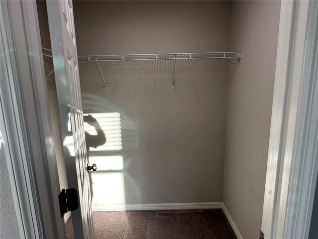 10834 WYNE TREE, Orlando, FL 32824