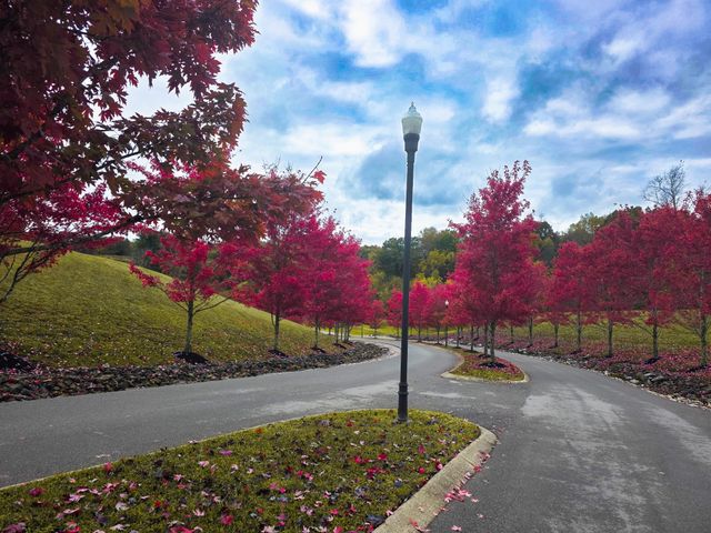 408 Barbaro Ct, Burns, TN 37029