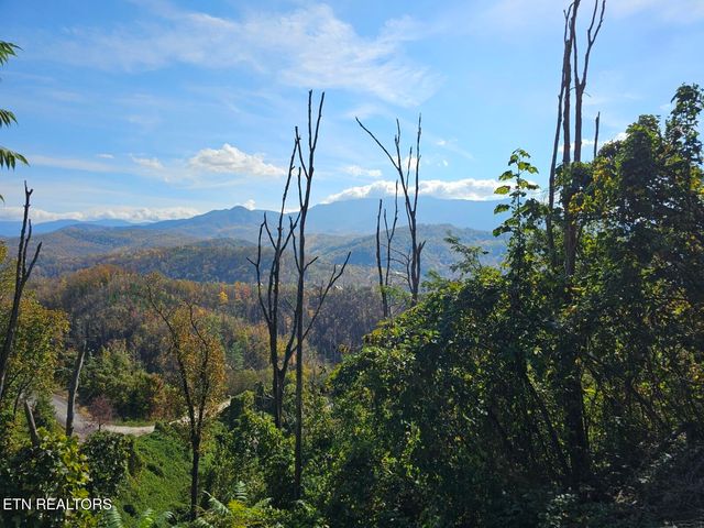 639 Kristis Place, Gatlinburg, TN 37738