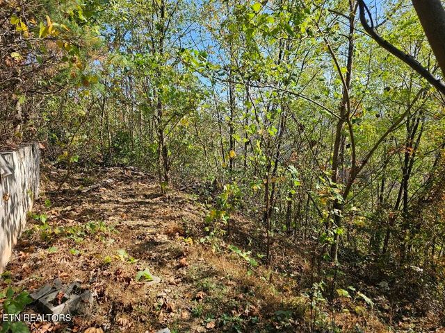 639 Kristis Place, Gatlinburg, TN 37738