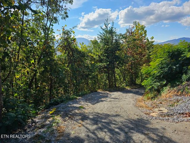 639 Kristis Place, Gatlinburg, TN 37738