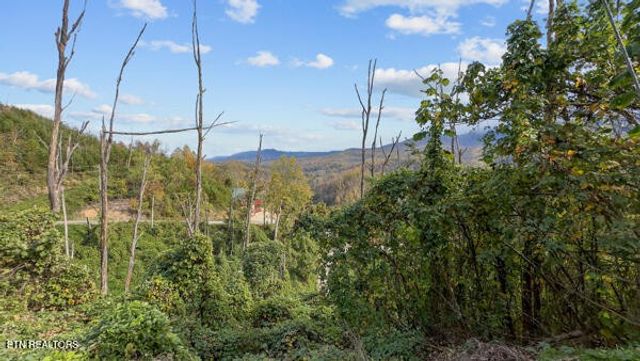 639 Kristis Place, Gatlinburg, TN 37738