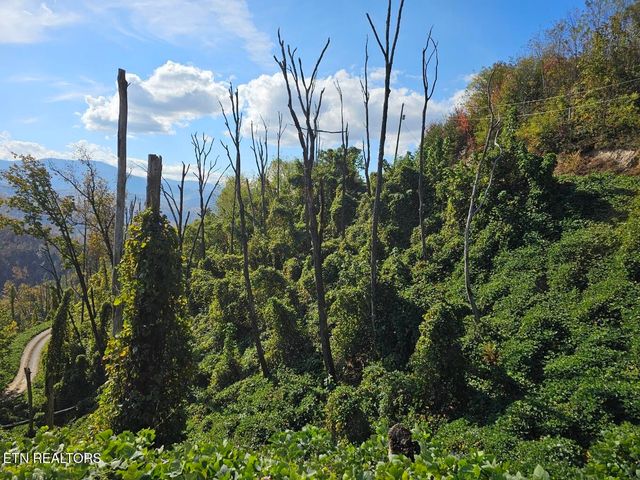 639 Kristis Place, Gatlinburg, TN 37738