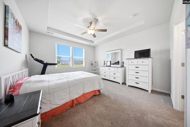445 Dolomite Court, Chapin, SC 29036