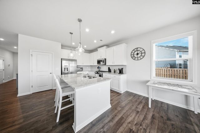 445 Dolomite Court, Chapin, SC 29036